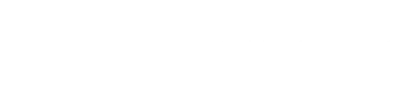 L1.webp