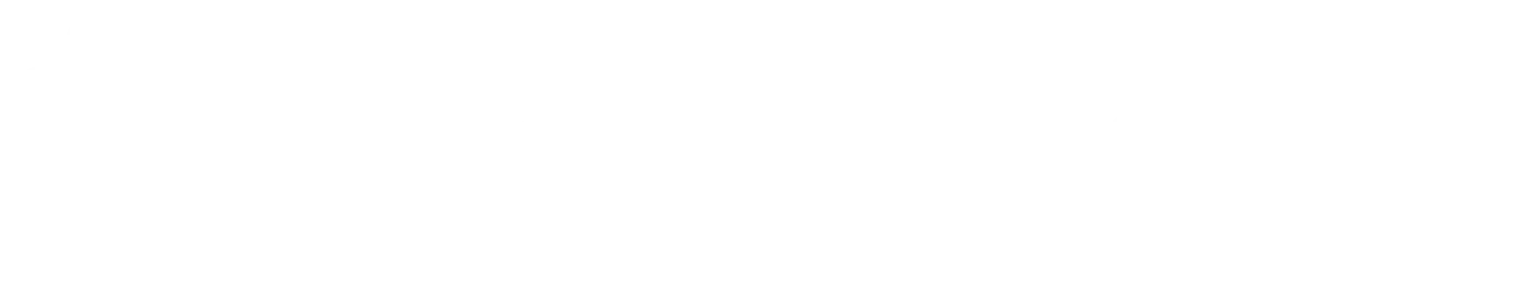 L5.webp